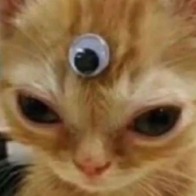 tianna - Tiktok Profile Picture of tianna (@tianna.hubbard) on Tiktok