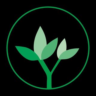 Profile Picture of Kerygma Ventures (@kerygmaventures) on Instagram