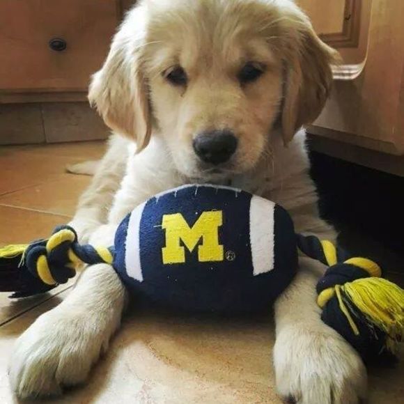 Profile Picture of Kevin Tremayne (@kt52662) on Poshmark