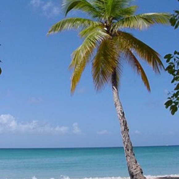 Bree Dyckes - Poshmark Profile Picture of Bree Dyckes (@bdyckes) on Poshmark