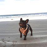 Profile Picture of Lorena Bolaños Dgz (@lorebd92) on Instagram