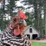 Jess - Instagram Profile Picture of Jess (@jessscott427) on Instagram