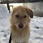 Profile Picture of Marcel Bubbert (@marcelbubbert) on Instagram