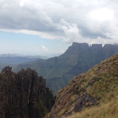 Matt Parr - Twitter Profile Picture of Matt Parr (@ratscricket) on Twitter