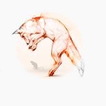 Profile Picture of John Strauser (@john.i.strauser) on Instagram