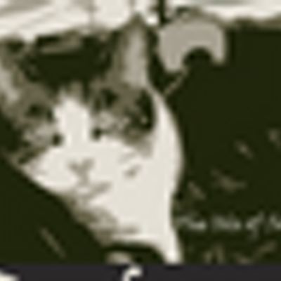 Profile Picture of Robert Krall (@carlrojoman) on Twitter