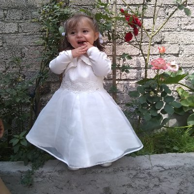 Profile Picture of José Luis Viveros (@JosLuisviveros2) on Twitter