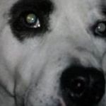 Profile Picture of Joyce Malcolm (@joyce.malcolm.56) on Instagram