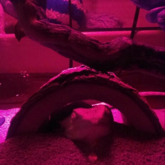 Profile Picture of Benno Weidner (@oleykids) on Poshmark