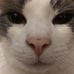Profile Picture of Barbara Gahn (@barbara.gahn) on Facebook