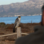 Profile Picture of Daniel Cazorla Manchon (@danivila11) on Flickr