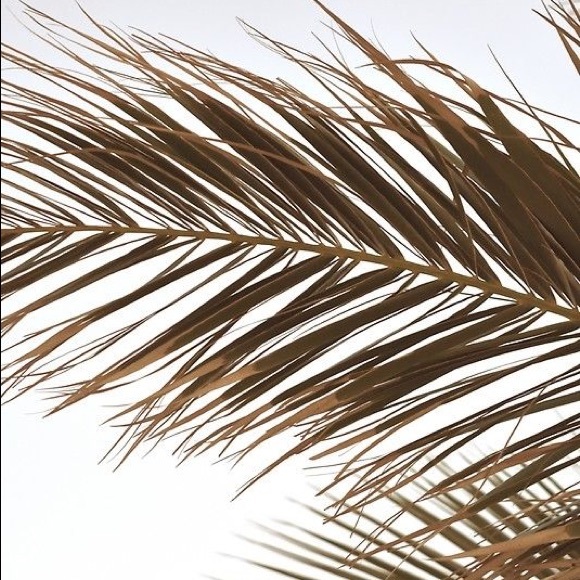 Profile Picture of Maddy Caflisch (@maddycaflisch) on Poshmark