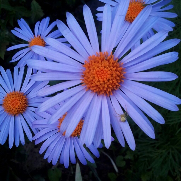 Profile Picture of Cathy Prothro (@catprothro) on Poshmark