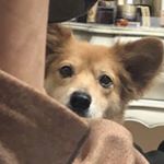 Profile Picture of 정윤 CHUNGYOON (@chung_yoon) on Instagram