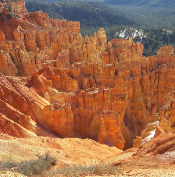 Profile Picture of Suzie Spellious (@terrypaver) on Poshmark