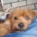 Profile Picture of Michael Ivers (@michael.ivers.792) on Facebook
