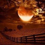 Profile Picture of chip cantrell (@chip.cantrell) on Instagram