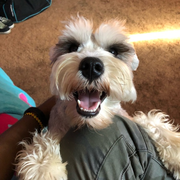 Profile Picture of L White (@lwsooner) on Poshmark