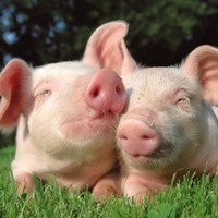 Profile Picture of Haley Massey (@haley-massey-2) on Quora