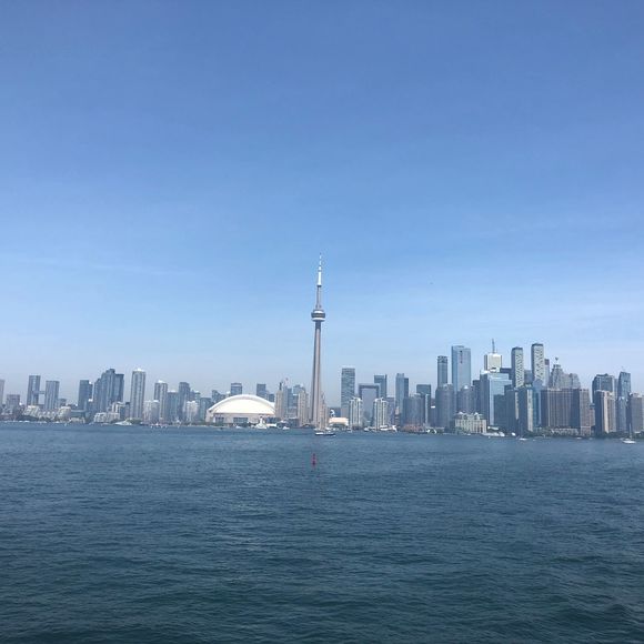 Profile Picture of Brian Wang (@brianwang1) on Poshmark