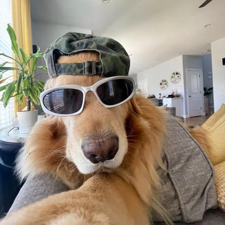 Profile Picture of carli 😁 (@carlimazz) on Tiktok