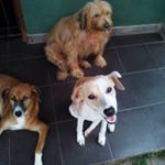 Profile Picture of sunil perera (@perera6240) on Instagram