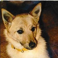 Stevie Bradley - Quora Profile Picture of Stevie Bradley (@stevie-bradley) on Quora