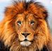 Profile Picture of Kevin Rickard (@kevin.rickard.33) on Facebook