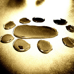 Profile Picture of Shawn Donnelly (@donnelly.shawn) on Flickr