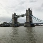 Profile Picture of Lillian Carlson (@lil_blossom19) on Instagram