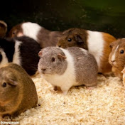 Profile Picture of Julia Angel (@juliaangel678) on Youtube