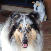 Profile Picture of Ann Walsh (@annwalsh7457) on Youtube