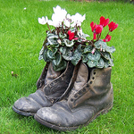 Profile Picture of Norman Cummings (@Nodge10) on Flickr