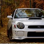 Profile Picture of David Sarafinchan (@_finch2) on Instagram