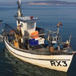 Profile Picture of Jack Lee Carroll 🎣 🦈 (@jackagram99) on Instagram