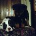 Profile Picture of Chloe Dawes (@dawes.chloe) on Facebook