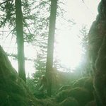 Profile Picture of Selva Jose Rivera Rivera (@musadelprado) on Instagram