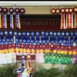 Profile Picture of Pam Baker LLC (@pambakerllc) on Instagram