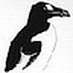 Profile Picture of Tim Murphy (@Tim Murphy) on Flickr