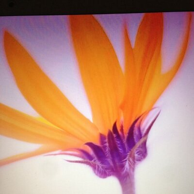 Profile Picture of P_Stiles (@PatStiles) on Twitter