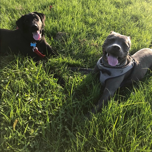 Profile Picture of Andrea Ramirez (@andreaavila252) on Poshmark