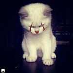 Profile Picture of John rezk (@johnr.ezk) on Instagram