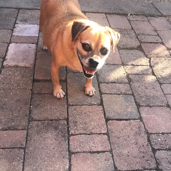 Profile Picture of Danielle Binns (@daniellebinns) on Poshmark