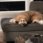 Profile Picture of Christopher Dorr (@dorr.christopher) on Instagram