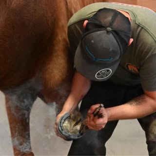 Profile Picture of John Anders Johnsrud (@hovslager_johnandersjohnsrud) on Instagram