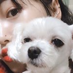 Profile Picture of Irene Lee (@baybyul44) on Instagram