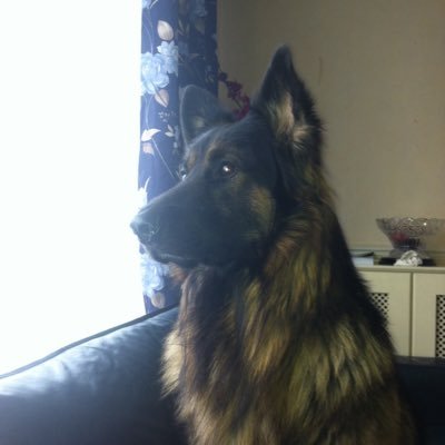 Kevin Merrick - Twitter Profile Picture of Kevin Merrick (@kevmerrick) on Twitter