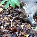 Profile Picture of Paul Remington (@paul.remington.7) on Instagram