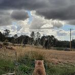 Lisa Cammack - Facebook Profile Picture of Lisa Cammack (@lisa.cammack.526) on Facebook