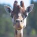 Profile Picture of Amanda Eklund (@amanda.eklund.581) on Facebook